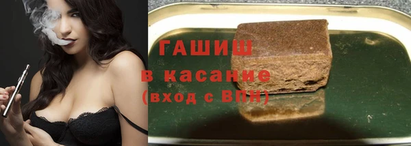 индика Вяземский